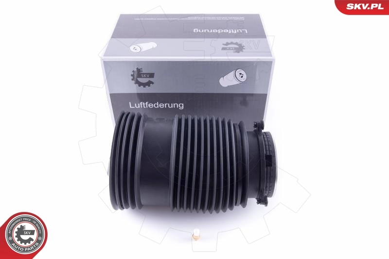Air Spring, suspension